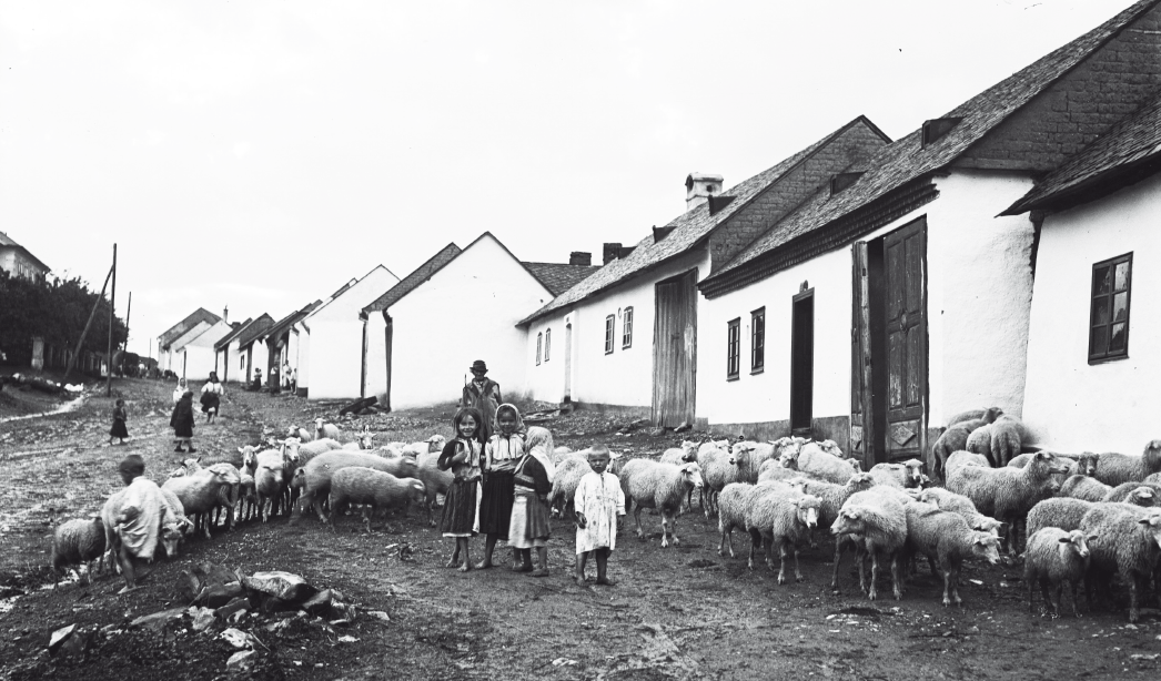 Výstava Bohumil Vavroušek, fotograf