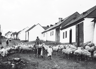 Výstava Bohumil Vavroušek, fotograf