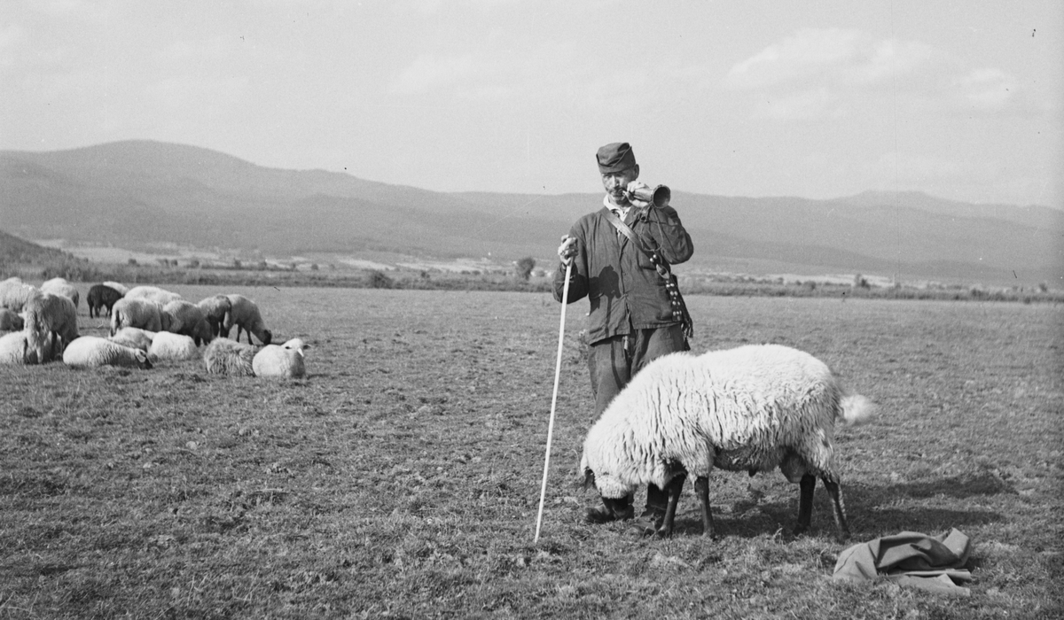 Výstava Zvonky štěstí