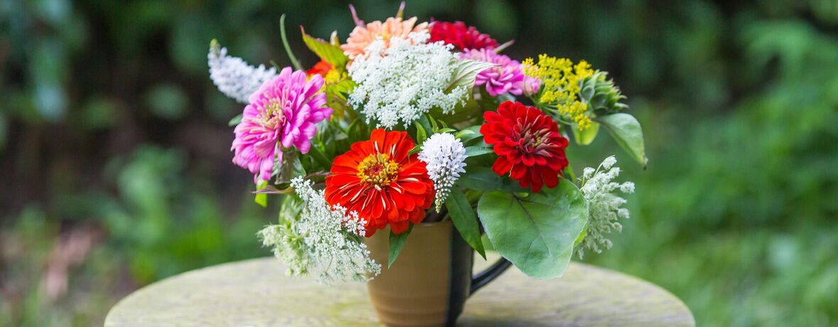 Muzeum kvete / Ukázky květin, přednáška a workshop jednou měsíčně podvečer v NZM Praha 