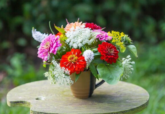 Muzeum kvete / Ukázky květin, přednáška a workshop jednou měsíčně podvečer v NZM Praha 