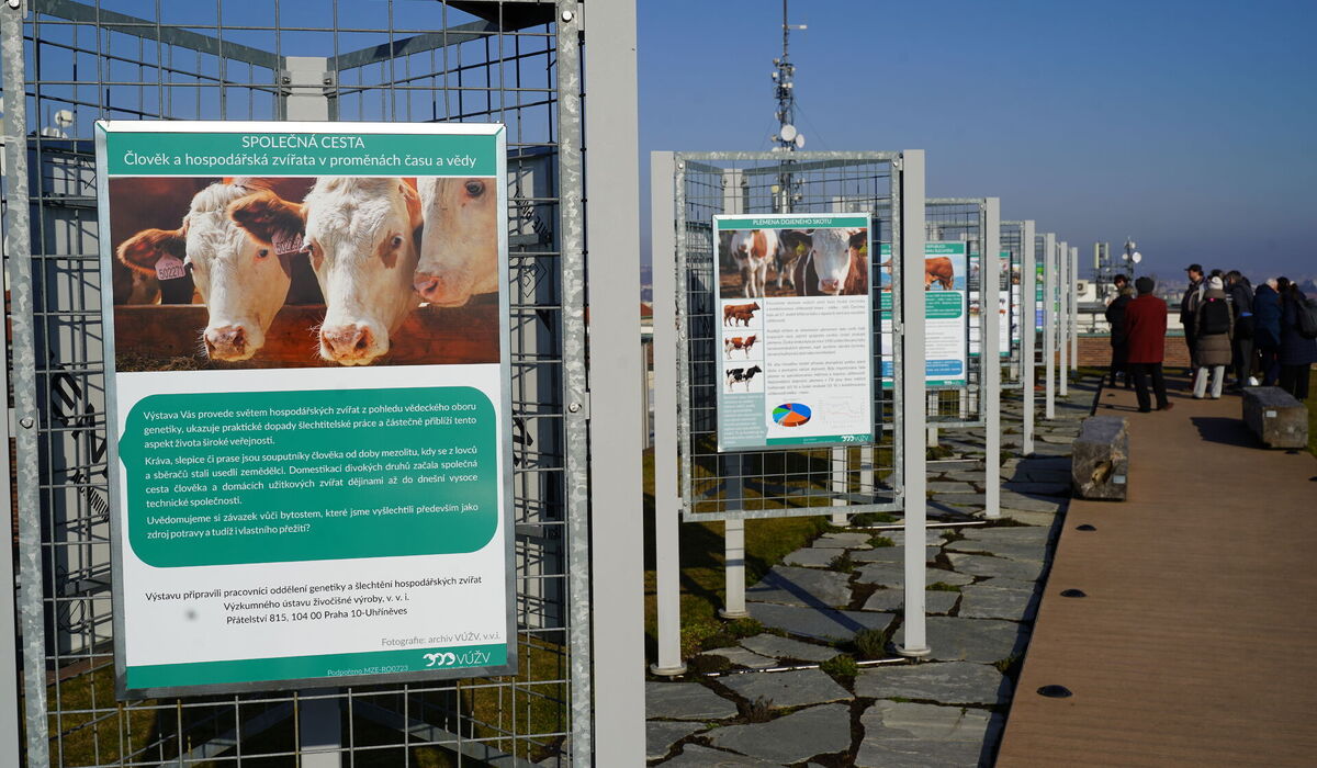 Společná cesta: Člověk a hospodářská zvířata v proměnách času a vědy