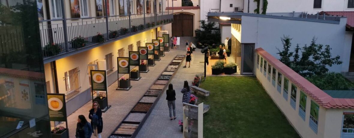 Zažijte muzejní noc ve Valticích: společné tvoření pro děti i dospělé a zázrak jménem Fotosyntéza. TISKOVÁ ZPRÁVA 