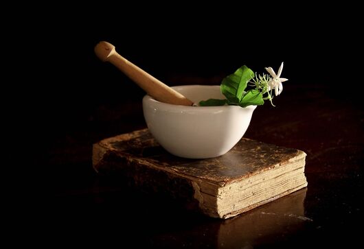 Ostatní výstupy projektu 