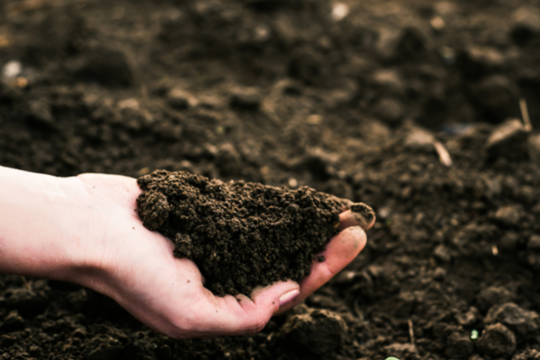 přednáška How soil organic matter get stored in soil