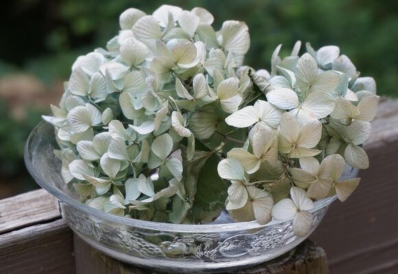 Muzeum vůní / Ukázky květin, přednáška a workshop jednou měsíčně podvečer v NZM Praha 