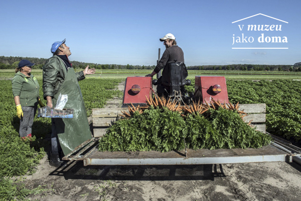 Jaro na farmě objektivem Karla Cudlína