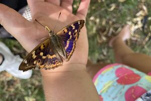 Příměstský tábor v NZM Praha Jak to u nás vypadalo?