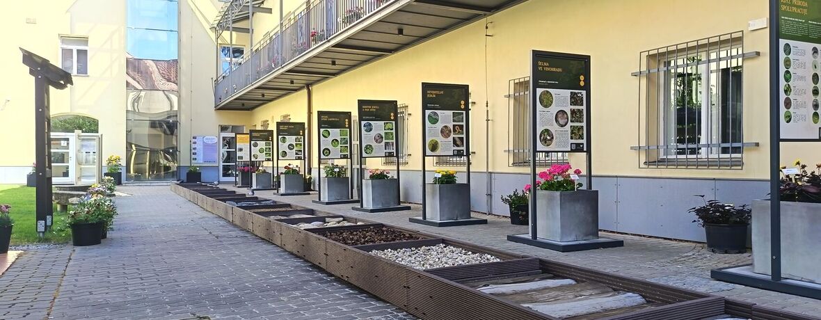 Národní zemědělské muzeum ve Valticích otevírá depozitáře a zve na barevný a voňavý letní program. TISKOVÁ ZPRÁVA