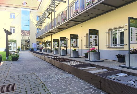 NZM Znojmo
