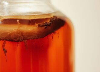 Kvasíme ǀ fermentace pro pokročilé