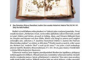 Prameny a studie 74 / Herbářové sbírky milosrdných bratří českomoravské provincie