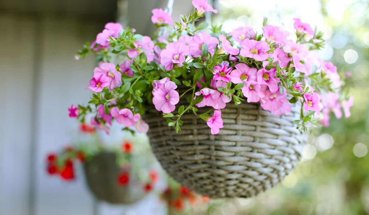 Výstava Barevná inspirace