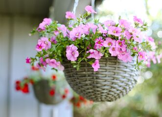 Výstava Barevná inspirace