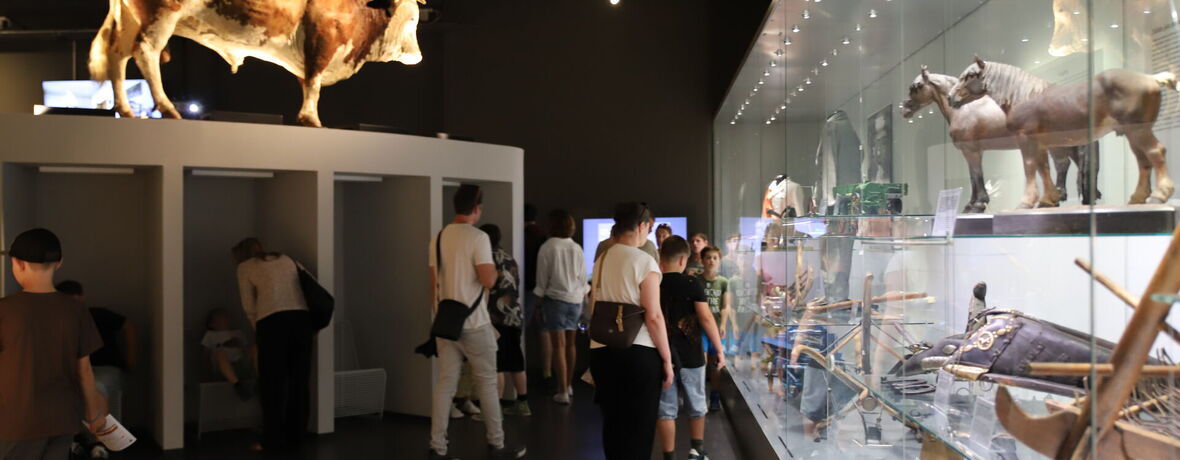 Mezinárodní den muzeí