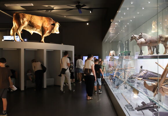 Mezinárodní den muzeí