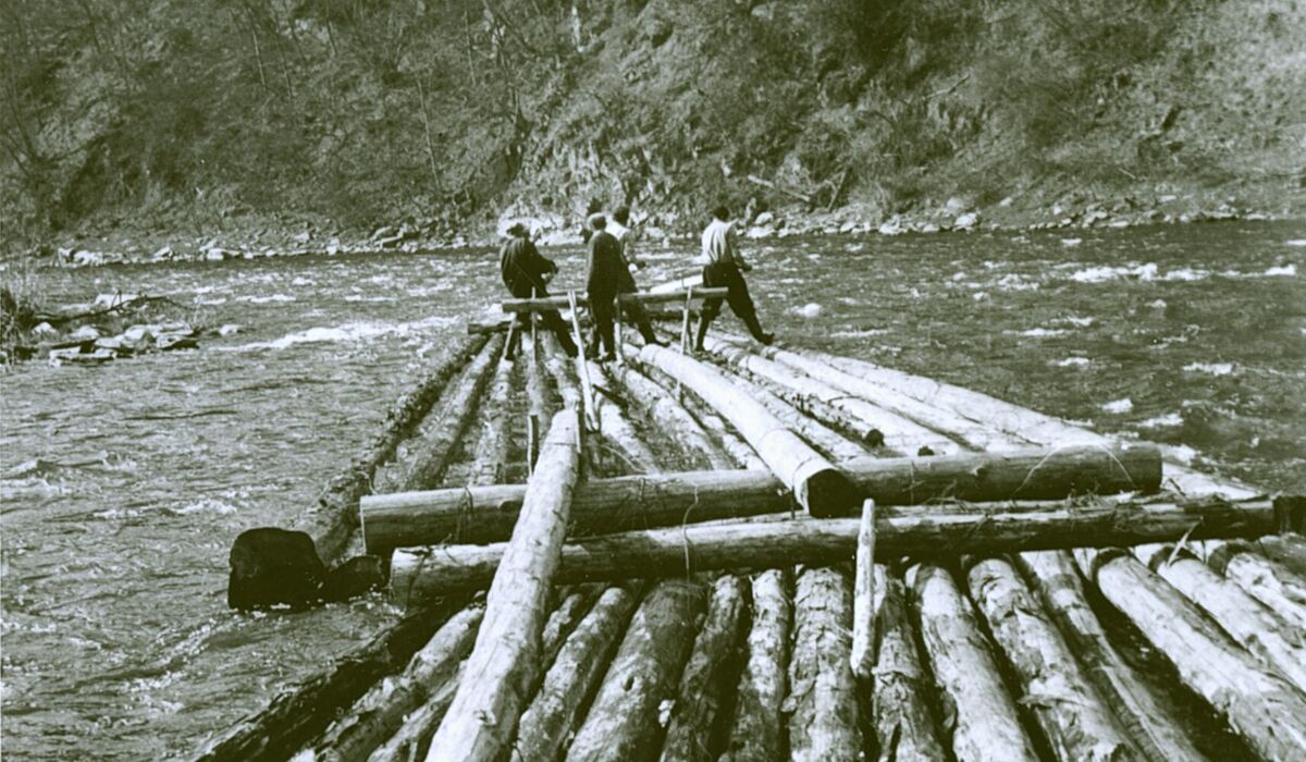 Výstava Plavali plavci