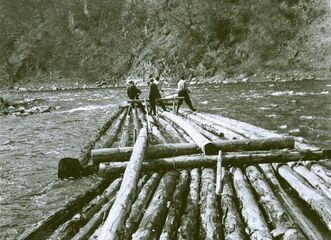 Výstava Plavali plavci