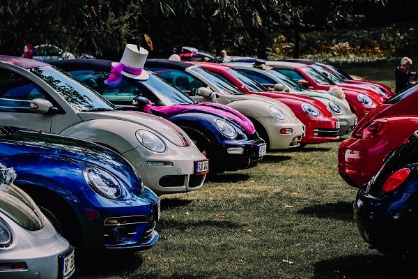 Mezinárodní sraz vozidel Volkswagen Beetle