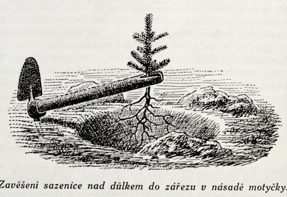 NZM Ohrada