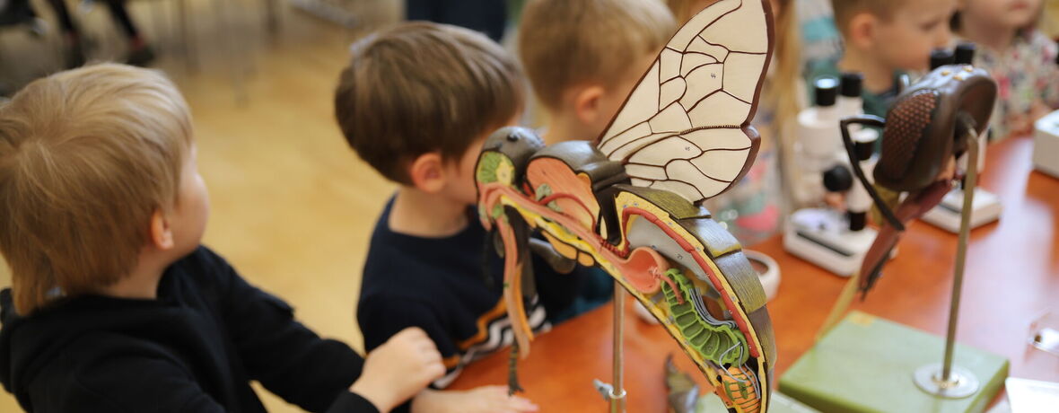 Jedu v medu pro školy