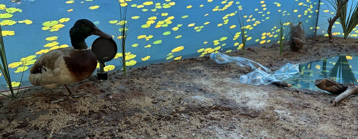 Den Země 21.–23. 4. 