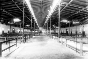 Pohled do interiéru tržnice hovězího dobytka, J. Eckert, 1895 (archiv hl. m. Prahy)