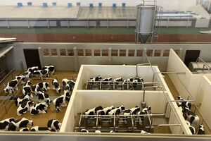 modely staveb agroprojekt